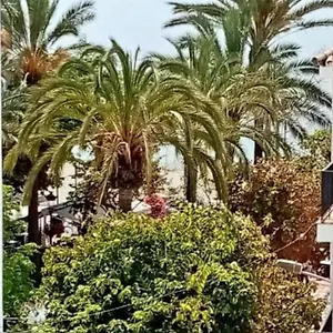 Old Town , Estepona España